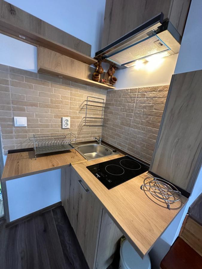 Casa Rares Buşteni 外观 照片