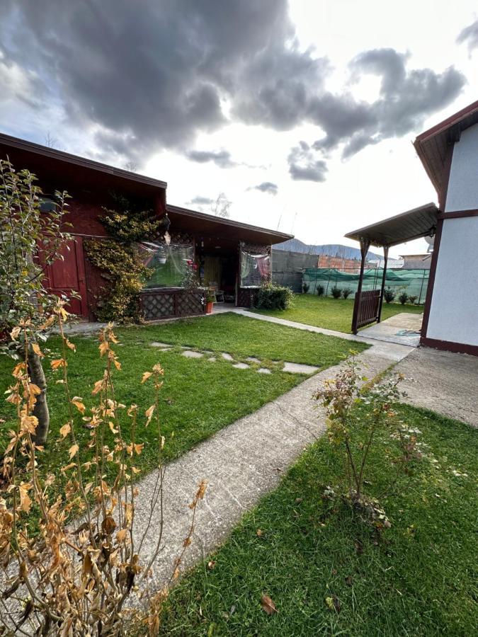 Casa Rares Buşteni 外观 照片